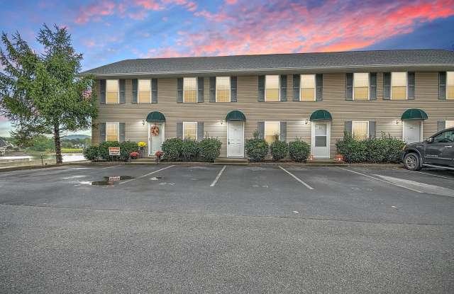 24 Lake Village Court - Johnson City