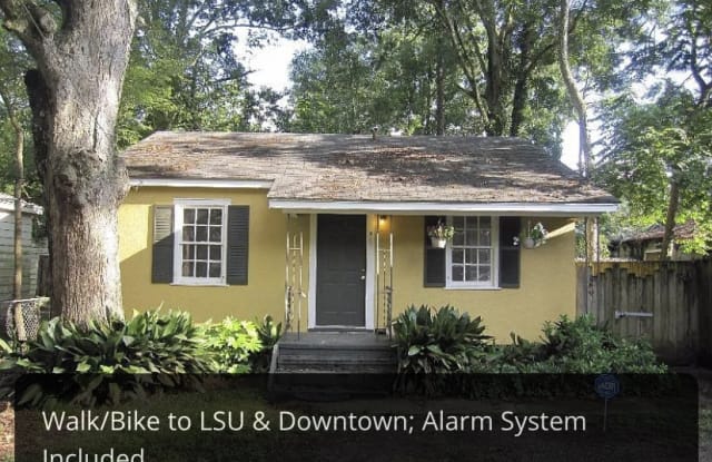 815 W Grant St - 815 West Grant Street, Baton Rouge, LA 70802