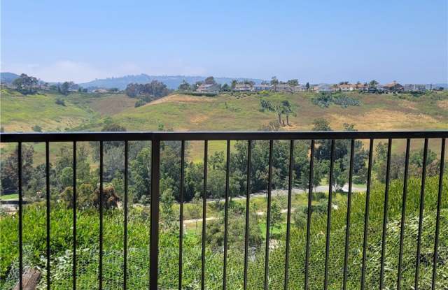 29011 Via Pasatiempo