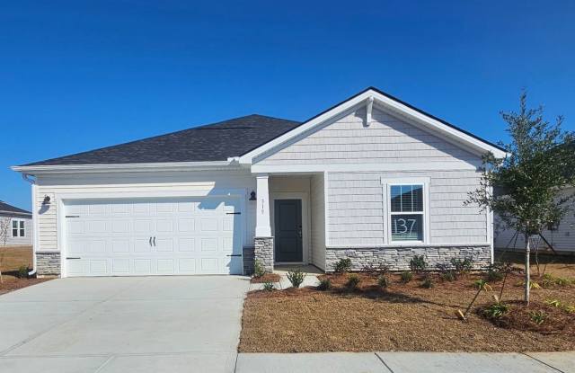 315 Wades Way - 315 Wades Way, Horry County, SC 29568