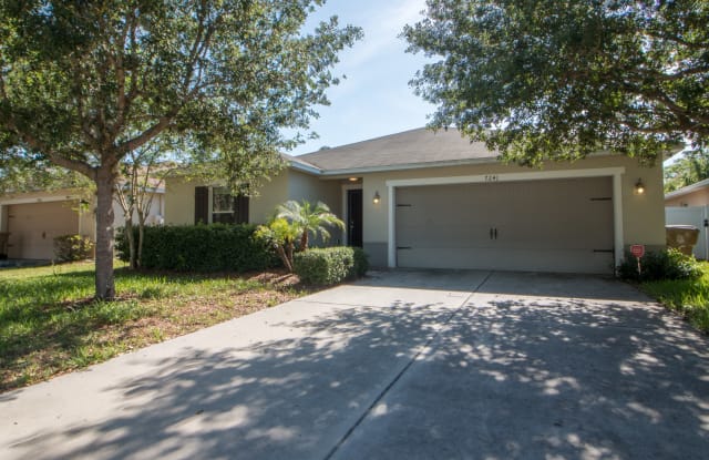 7241 Mystic Brook Way - 7241 Mystuc Brook Way, Osceola County, FL 33896