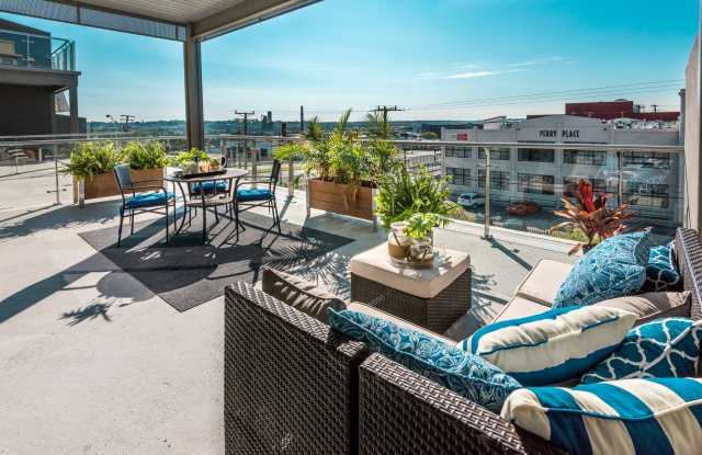 Terraces at Manchester