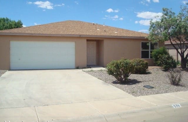 5711 Pecan Lane - 5711 Pecan Lane, Las Cruces, NM 88011