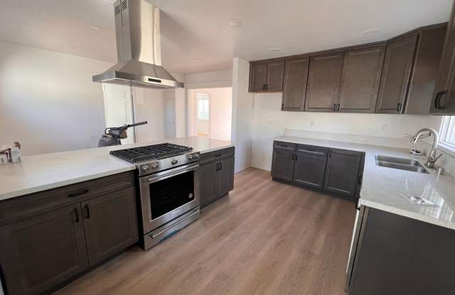 FULLY REMODELED 2BR/1BA home w/ parking and fenced yard available in Spring Valley!