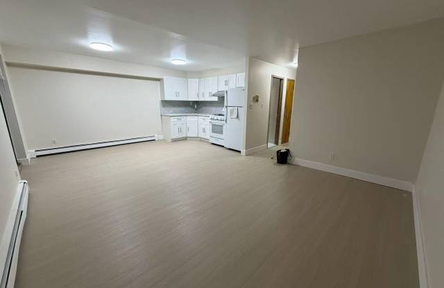 43-55 159th Street unit: 3 Fl