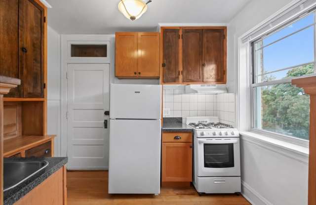 Large One Bedroom in Andersonville