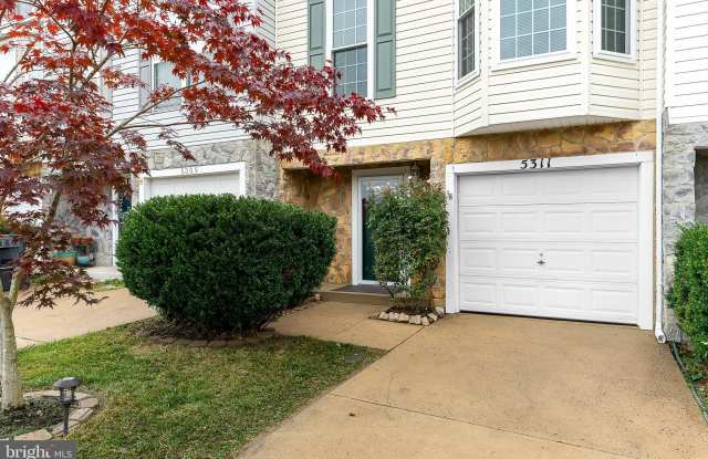 5311 YELLOW TURTLE Place