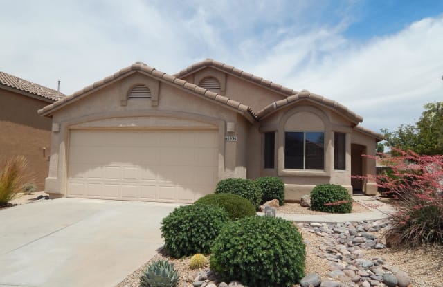 60320 Verde Vista Court - 60320 E Verde Vista Ct, Saddlebrooke, AZ 85739