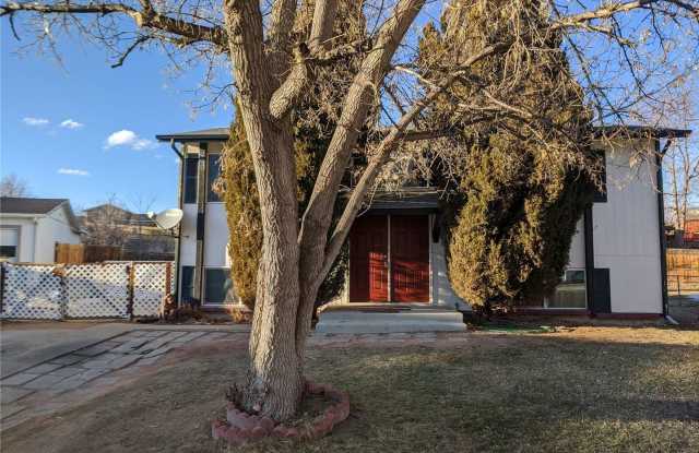 NICE 4-BDRM GOLDEN HOME IN QUIET CULDESAC NORTH OF TABLE MOUNTAIN! IMMEDIATE OCCUPANCY!