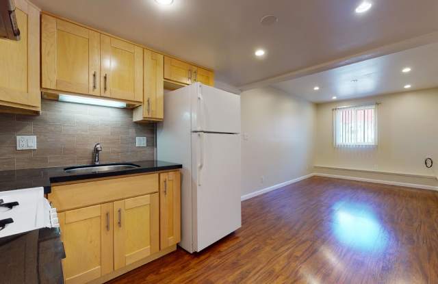 384 Chester Street - Lower