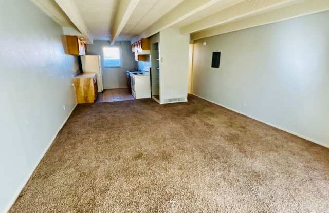 Photo of Studio Apartment in Denver - Ground Level - Move in Ready!