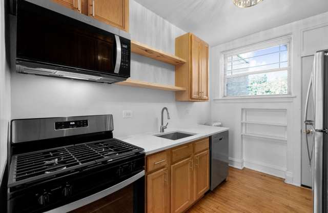 Large One Bedroom in Andersonville