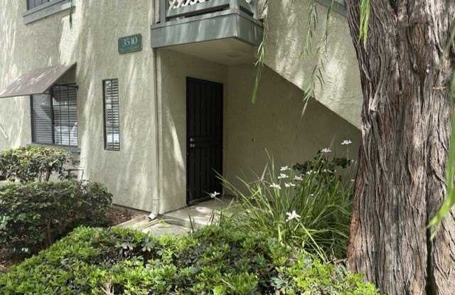 3510 W Sweetbay Court