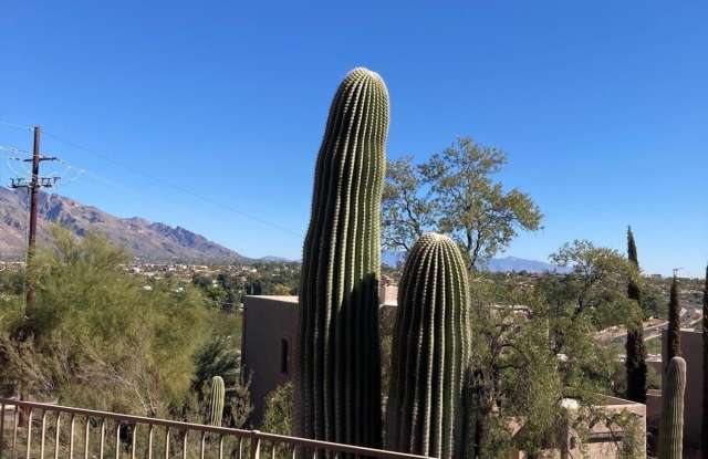 8110 N Tucson National Place