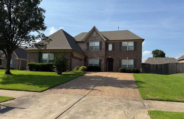 BEAUTIFUL SPACIOUS HOME IN BARTLETT