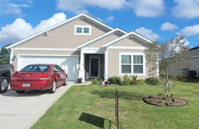 929 Bonita Loop - 929 Bonita Loop, Horry County, SC 29588