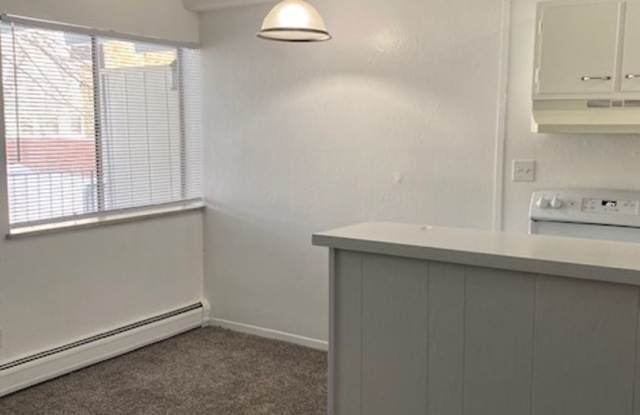 Newly remodeled 1-bedroom apartment near DU