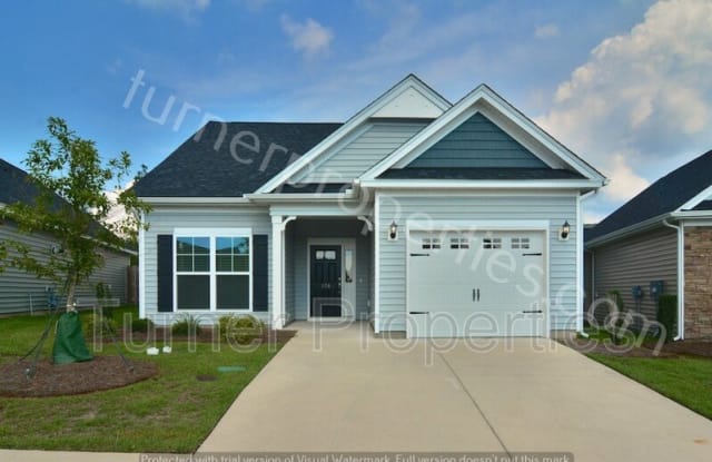 458 Glacier Way - 458 Glacier Way, Richland County, SC 29229