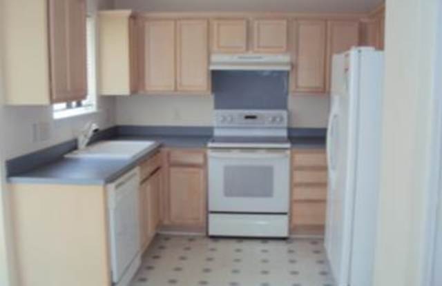 4302 Bubbling Brook Court