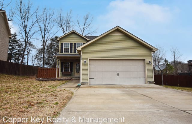 1310 Whitt Lane - 1310 Whitt Lane, Clarksville, TN 37042