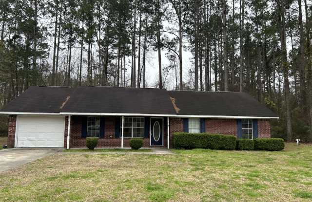 199 Pat Priester Drive - 199 Pat Priester Drive, Long County, GA 31316