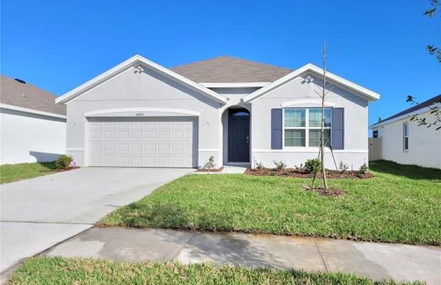 30993 PENNY SURF LOOP - 30993 Penny Surf Loop, Wesley Chapel, FL 33545