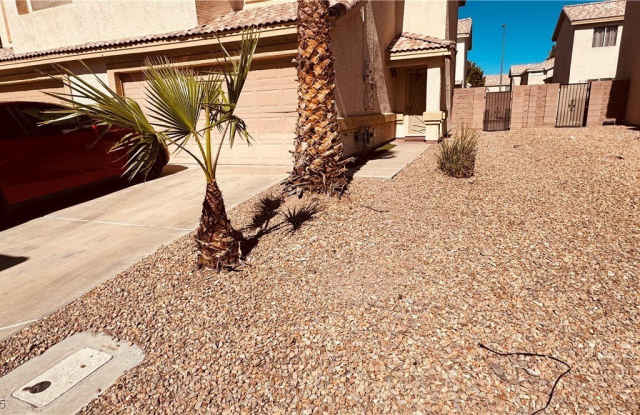 722 Peregrine Falcon Street