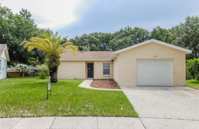 11515 PAPERWOOD PLACE - 11515 Paperwood Place, Riverview, FL 33579