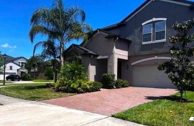 25072 LAMBRUSCO LOOP