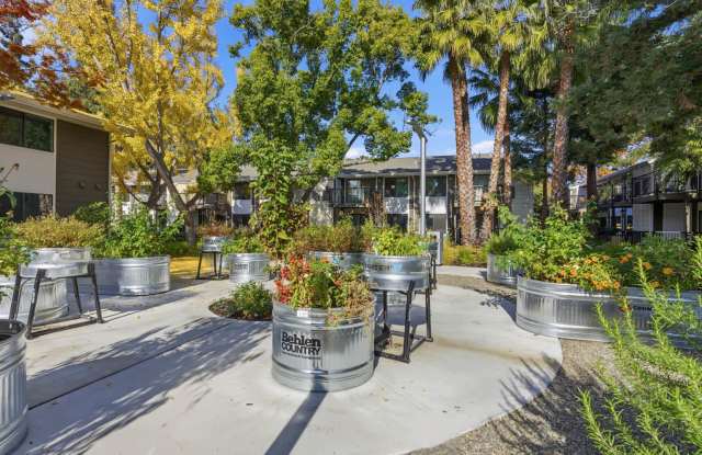 Lorien Ivy Apartments