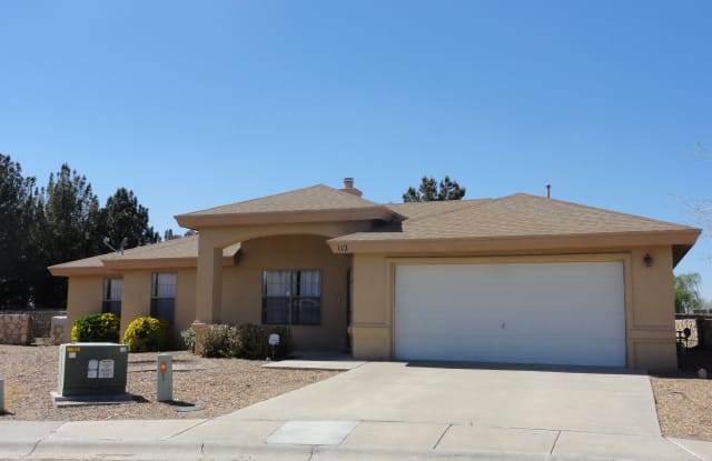 112 Desert Sage - 112 Desert Sage Court, Sunland Park, NM 88008