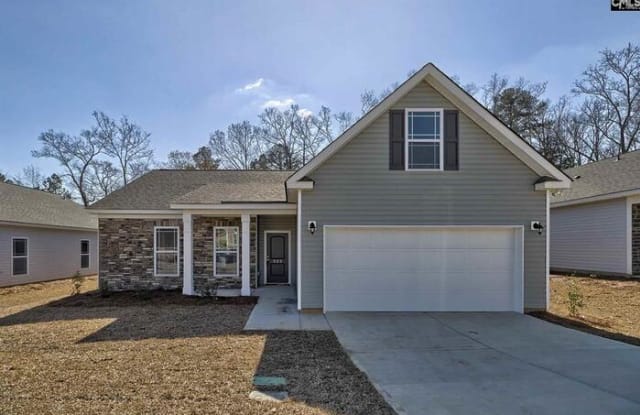 381 Silver Anchor Drive - 381 Silver Anchor Drive, Richland County, SC 29063