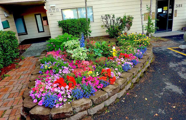 Photo of Deluxe One Bedroom in South Anchorage on the Creek
