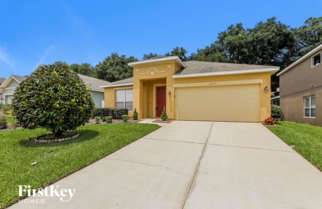 25149 Chipshot Court - 25149 Chipshot Court, Mount Plymouth, FL 32776