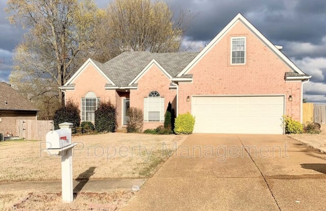 6082 Shadow Oaks Cv S - 6082 Shadow Oaks Cove South, Olive Branch, MS 38654