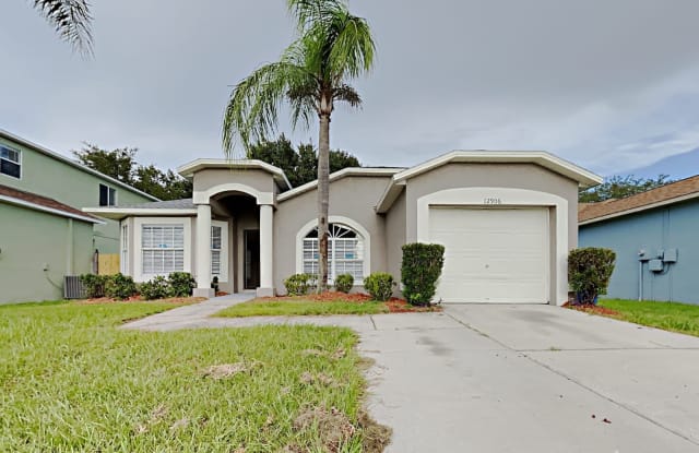 12906 Brant Tree Drive - 12906 Brant Tree Drive, Riverview, FL 33579