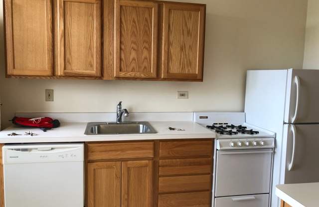 Fantastic Roscoe Village One Bedroom