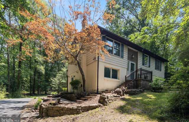 25150 GALLANT MAN DRIVE