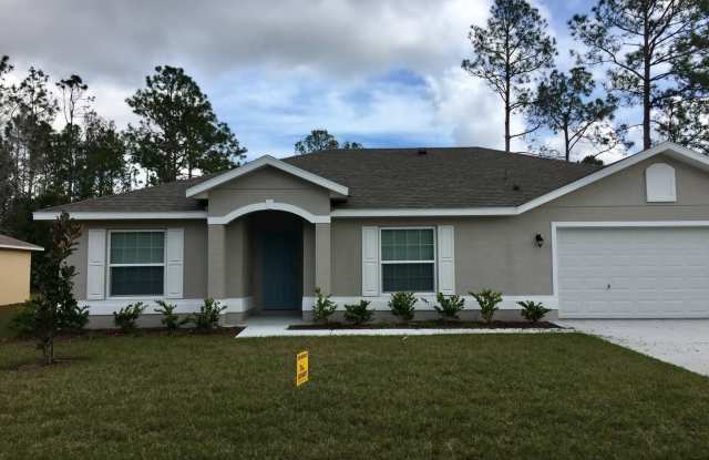 Brand New Seagate Misty III with tons of upgrades! - 17 Pineland Lane, Palm Coast, FL 32164