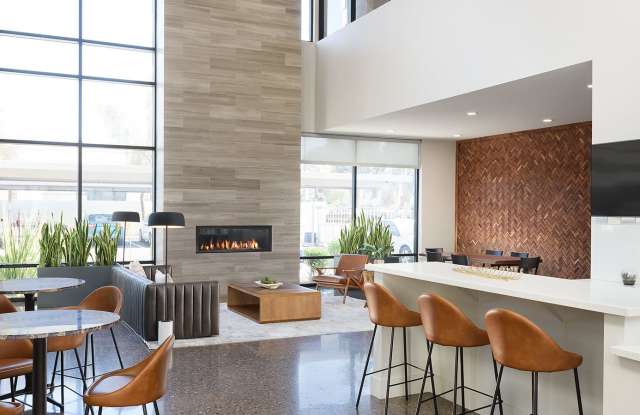 Photo of Cactus Forty-2