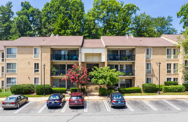 Amber Commons
