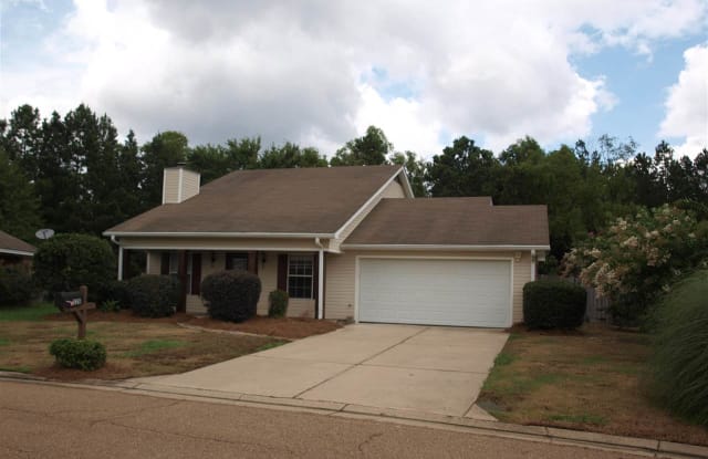 328 SWAN DR - 328 Swan Drive, Rankin County, MS 39047