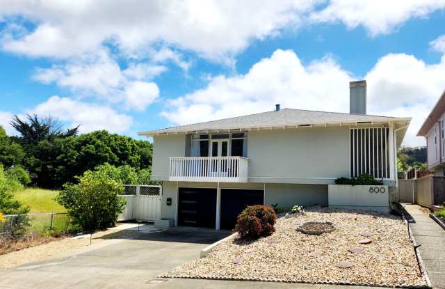 Meticulous Mid Century home with stunning details and updates - 800 Larkspur Drive, Millbrae, CA 94030