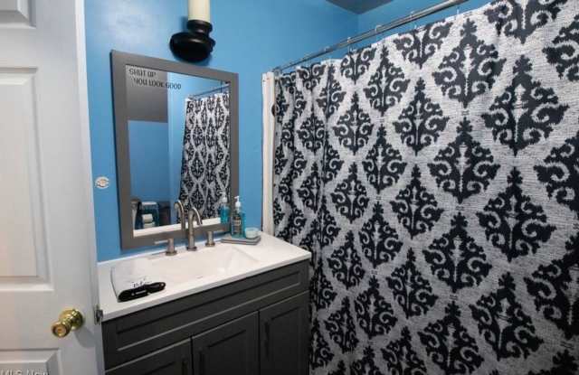 Charming 1BR House in Ashtabula