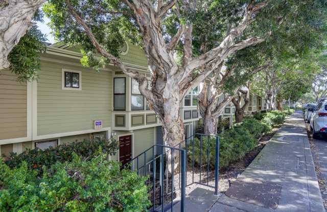 Sunny Potrero Hill 3BR / 1BA Townhome | Private Yard | YouTube Tour