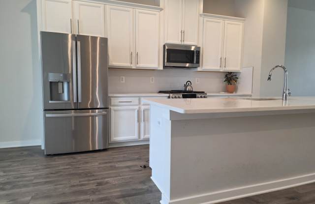 1717 Autumn Maple Leaf Drive - 1