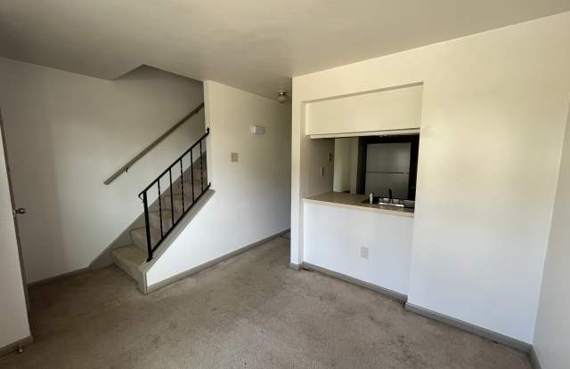 339 Dersam Street - 1