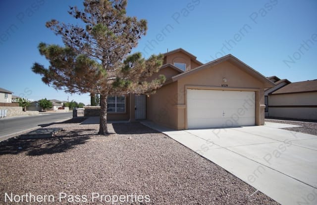 14329 Pacific Point - 14329 Pacific Point Drive, El Paso, TX 79938