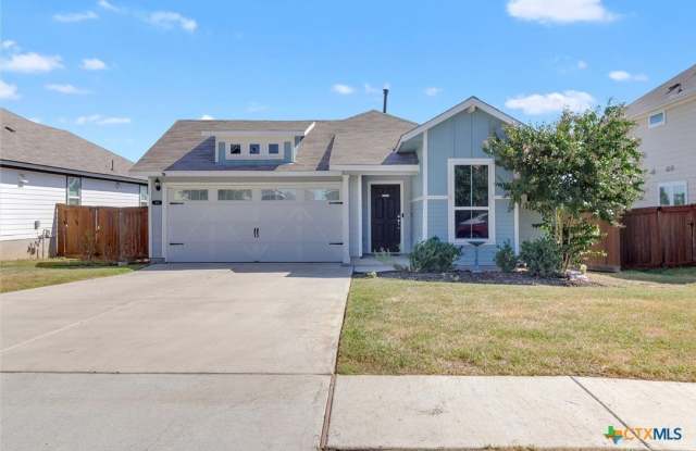 Photo of 425 Spiny Lizard Lane