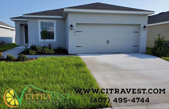 343 San Mauro Dr - 343 San Mauro Drive, Polk County, FL 33823